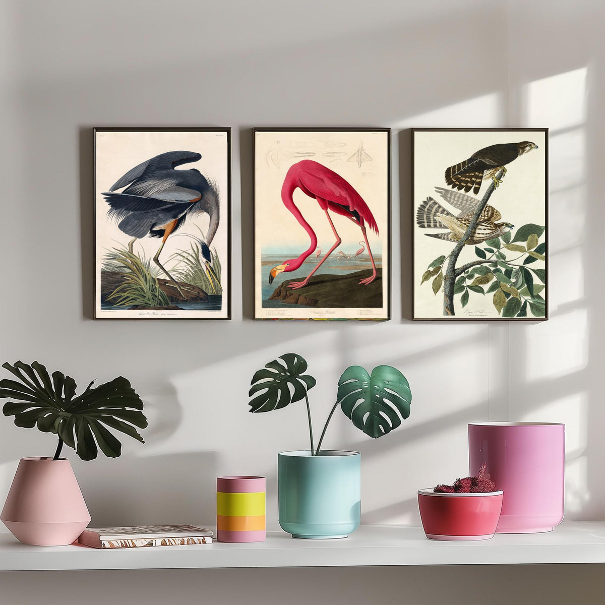 John James Audubon Set of Three Art Prints - Great Blue Heron, American Flamingo, Hawks - Birds of America Illustration Poster