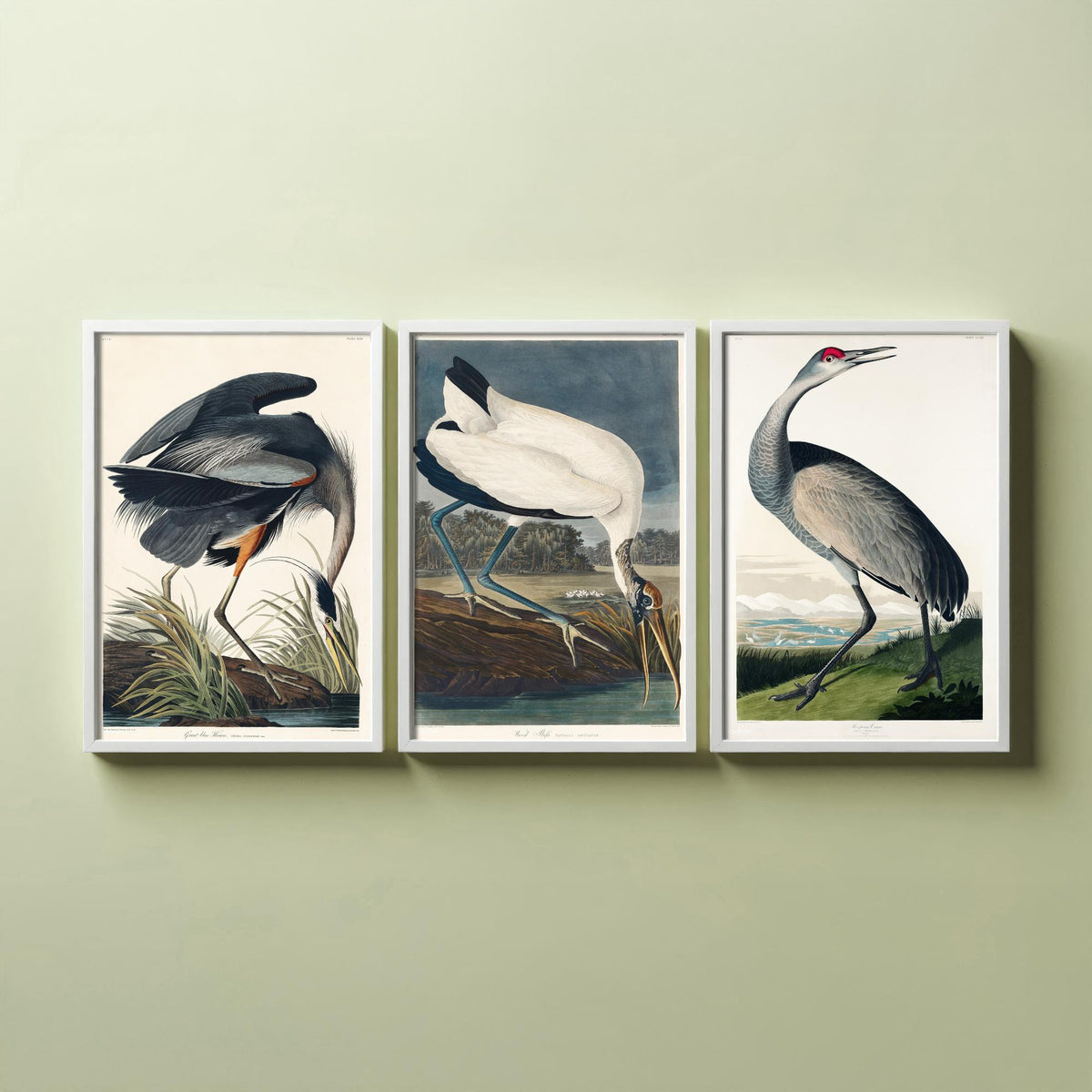 Set of Three John James Audubon Prints - Great Blue Heron Wood Ibis and Sandhill Crane - 3 Bird Paintings Poster Wall Art Illustration