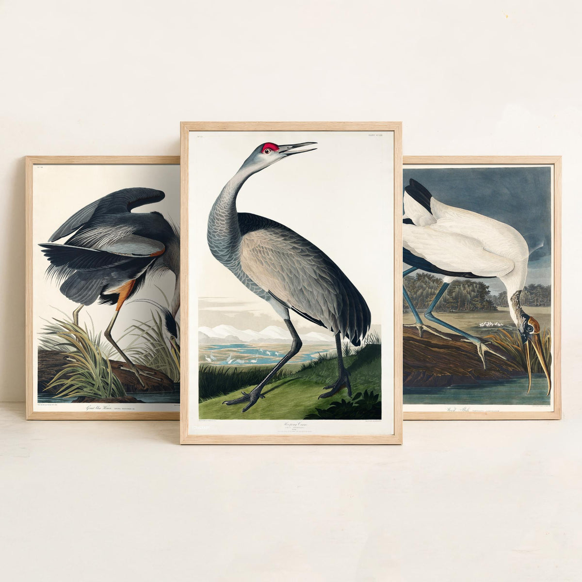 Set of Three John James Audubon Prints - Great Blue Heron Wood Ibis and Sandhill Crane - 3 Bird Paintings Poster Wall Art Illustration