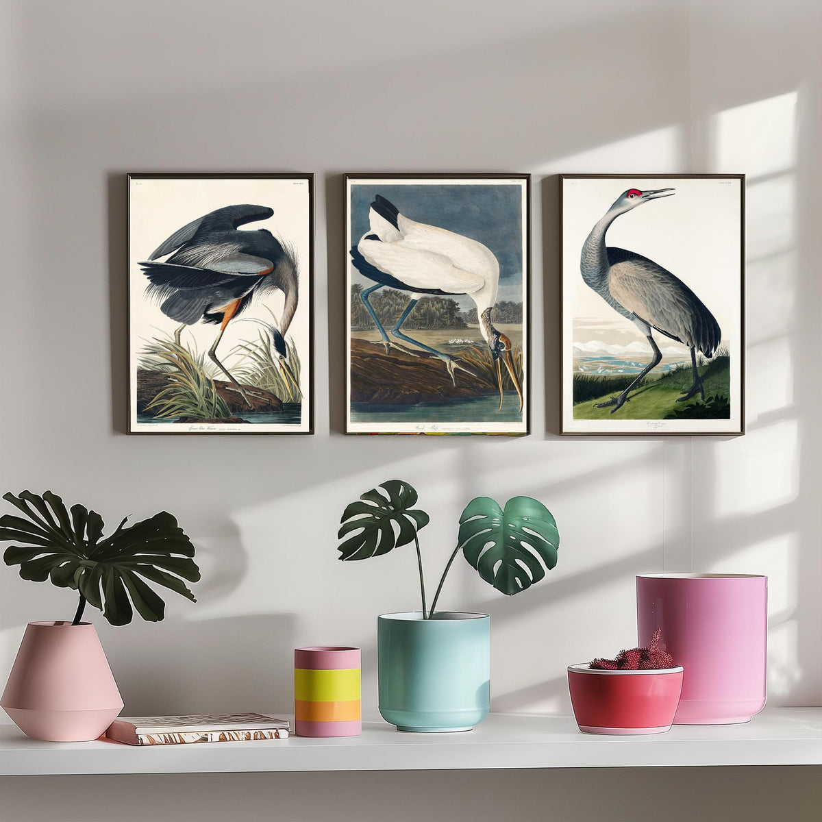 Set of Three John James Audubon Prints - Great Blue Heron Wood Ibis and Sandhill Crane - 3 Bird Paintings Poster Wall Art Illustration