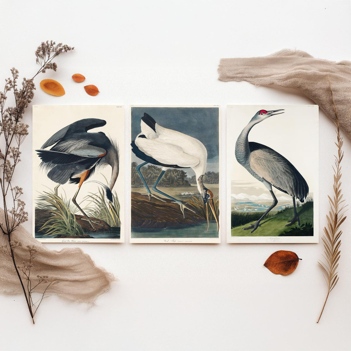 Set of Three John James Audubon Prints - Great Blue Heron Wood Ibis and Sandhill Crane - 3 Bird Paintings Poster Wall Art Illustration