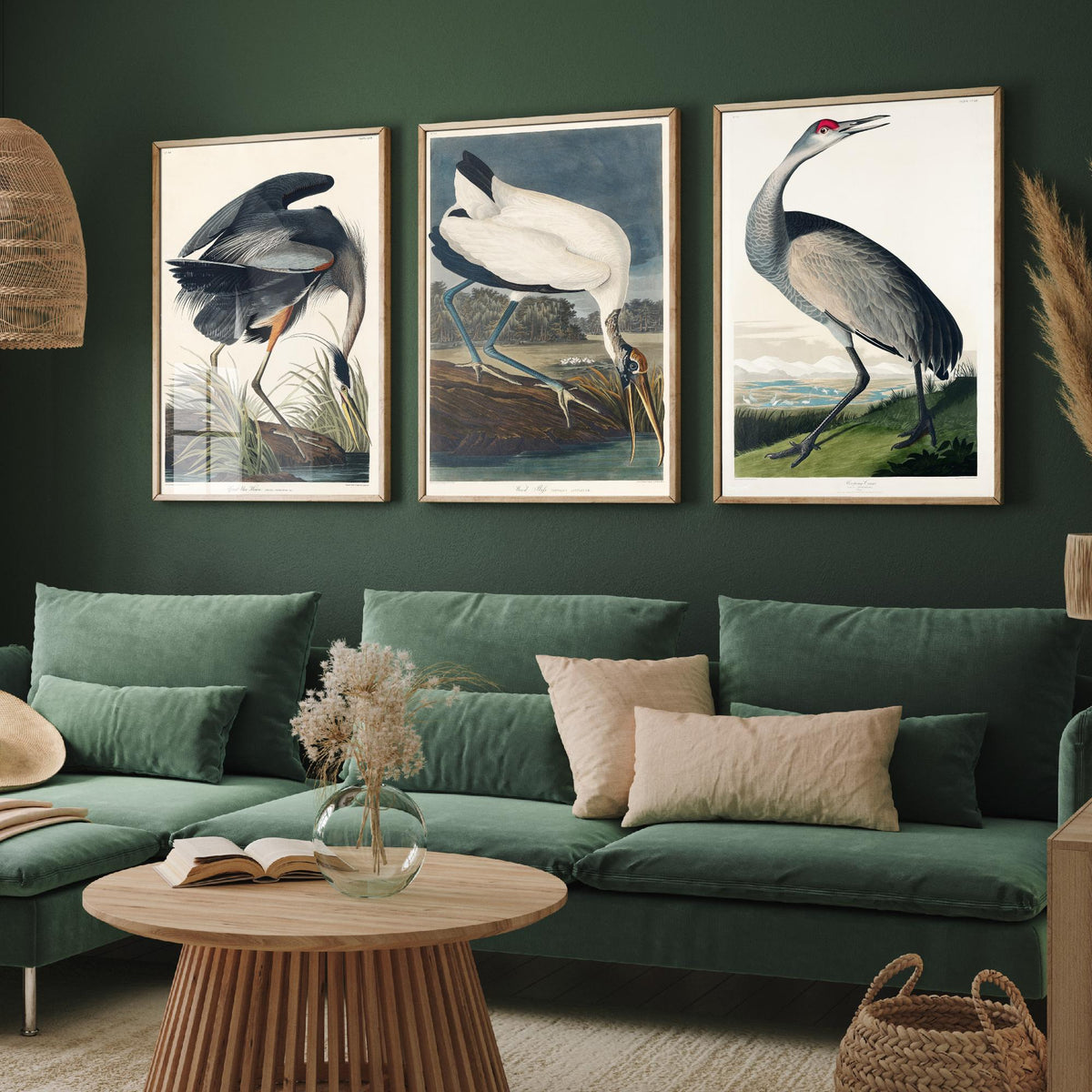 Set of Three John James Audubon Prints - Great Blue Heron Wood Ibis and Sandhill Crane - 3 Bird Paintings Poster Wall Art Illustration