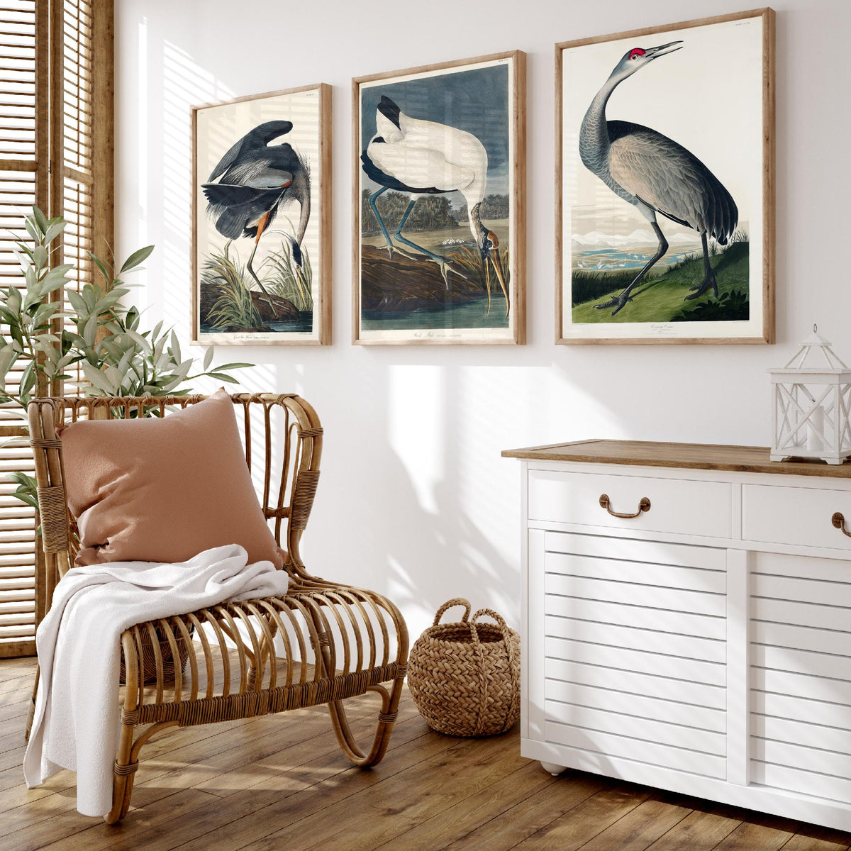 Set of Three John James Audubon Prints - Great Blue Heron Wood Ibis and Sandhill Crane - 3 Bird Paintings Poster Wall Art Illustration