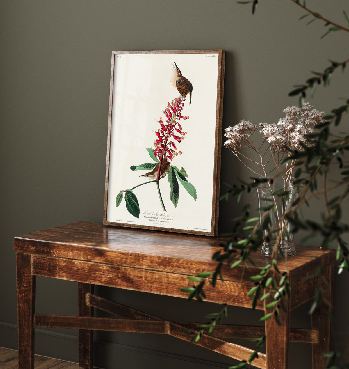 Carolina Wren Art Print - John James Audubon Poster - Birds of America Vintage Illustration
