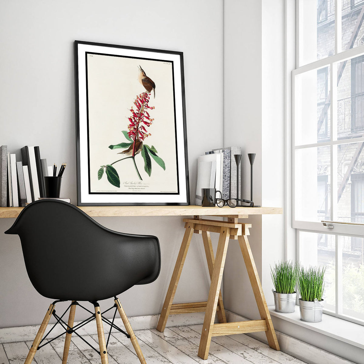Carolina Wren Art Print - John James Audubon Poster - Birds of America Vintage Illustration