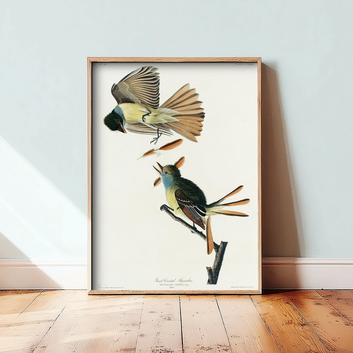 Great Crested Flycatcher Art Print - John James Audubon Poster - Birds of America Vintage Illustration