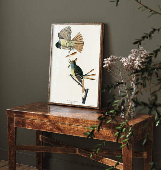 Great Crested Flycatcher Art Print - John James Audubon Poster - Birds of America Vintage Illustration