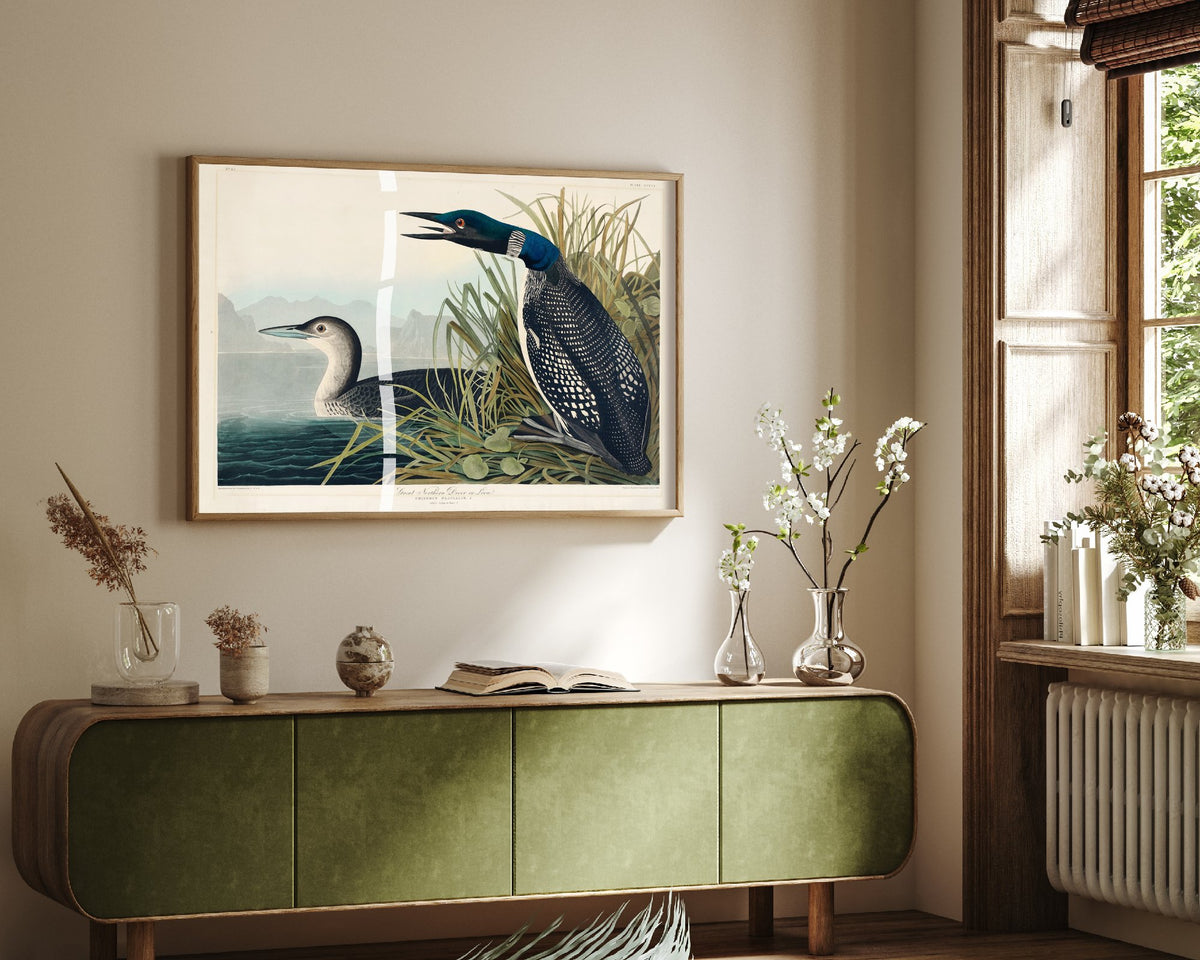 Common Loon Art Print - John James Audubon Poster - Birds of America Vintage Illustration