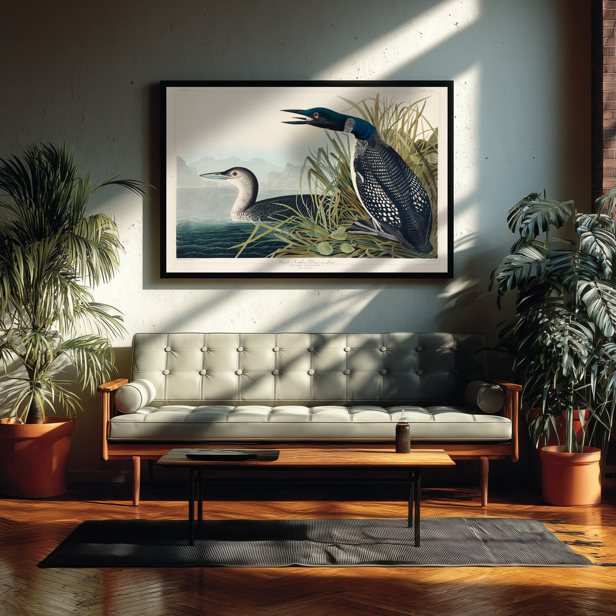 Common Loon Art Print - John James Audubon Poster - Birds of America Vintage Illustration