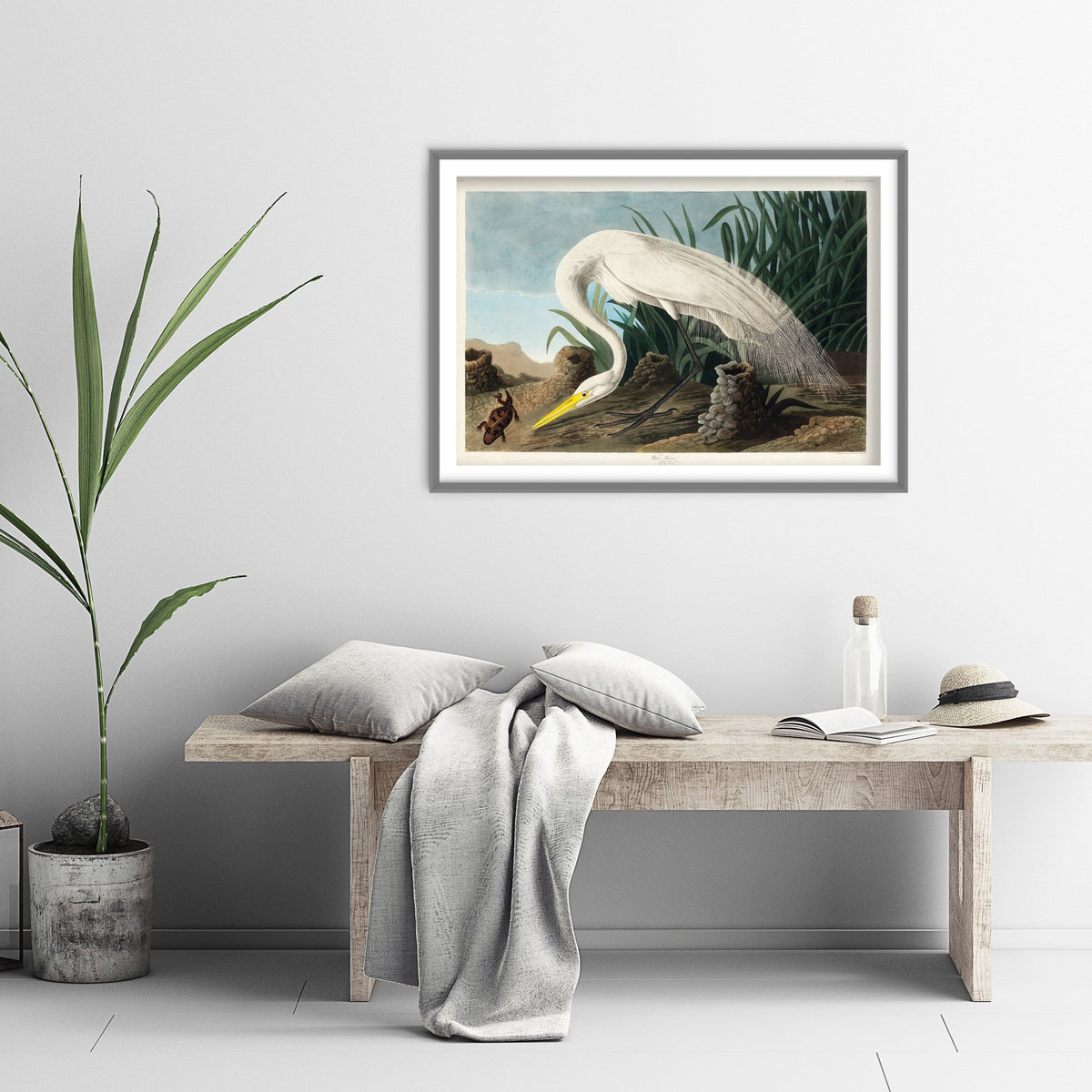 Great White Heron Wading Art Print - John James Audubon Poster - Birds of America Vintage Illustration