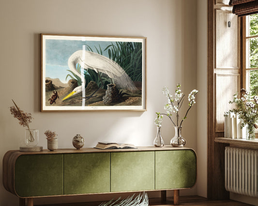 Great White Heron Wading Art Print - John James Audubon Poster - Birds of America Vintage Illustration