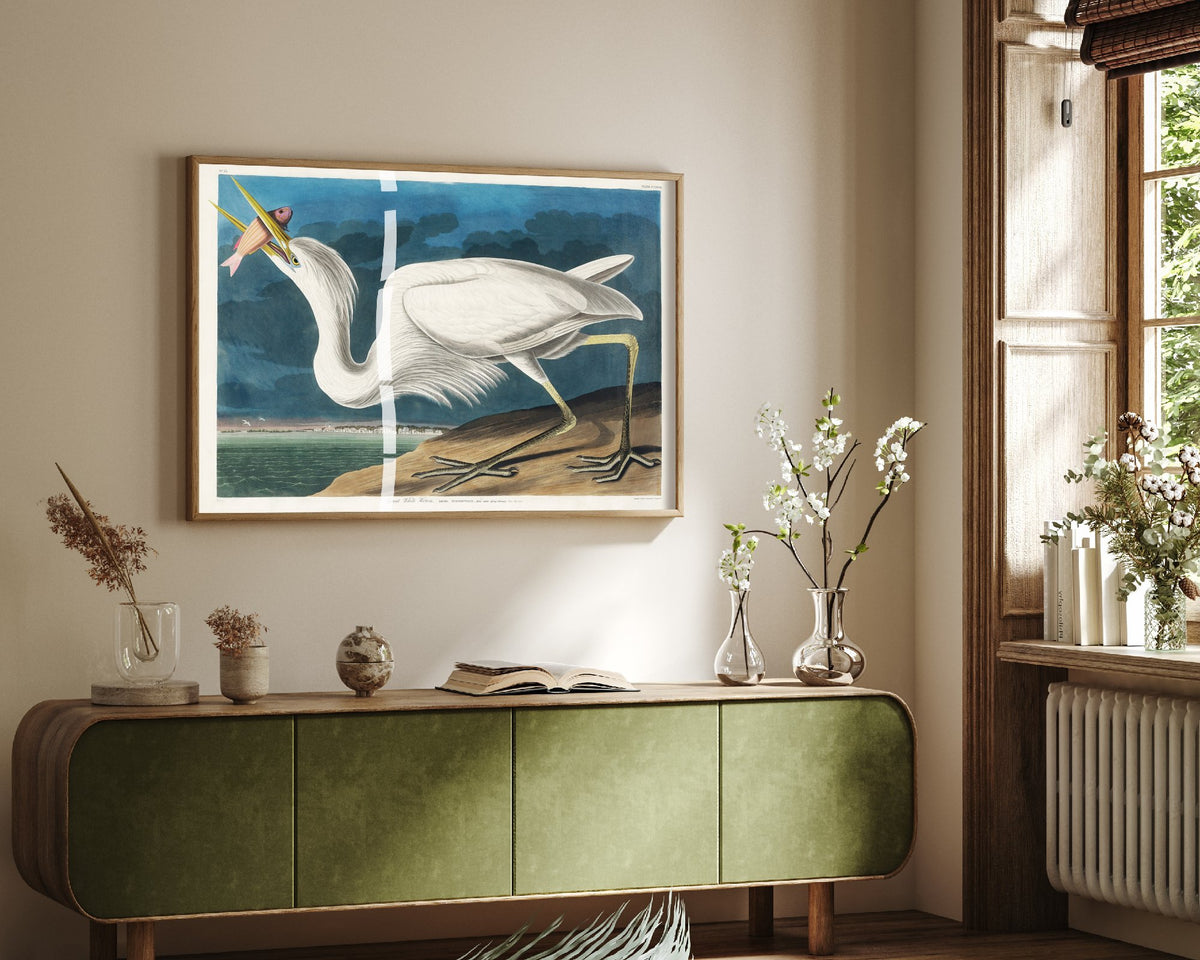 Great White Heron Standing Art Print - John James Audubon Poster - Birds of America Vintage Illustration