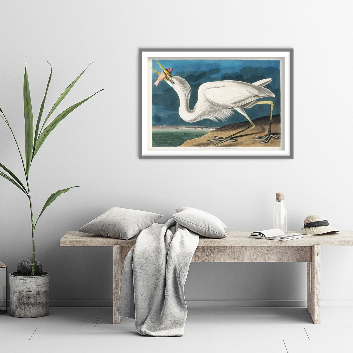 Great White Heron Standing Art Print - John James Audubon Poster - Birds of America Vintage Illustration