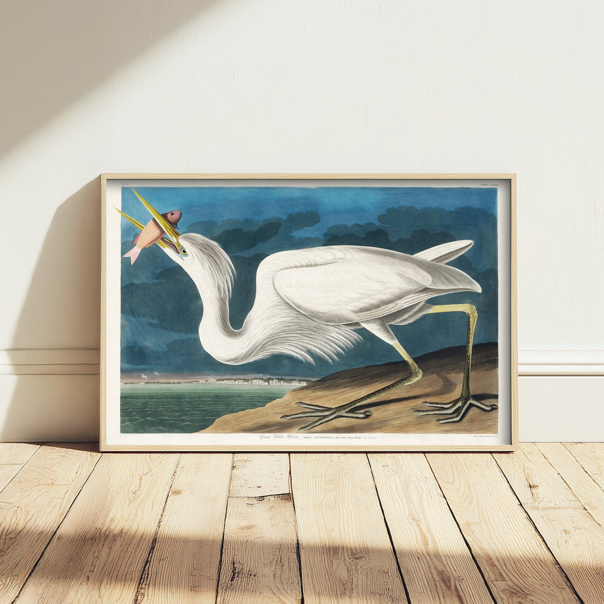 Great White Heron Standing Art Print - John James Audubon Poster - Birds of America Vintage Illustration