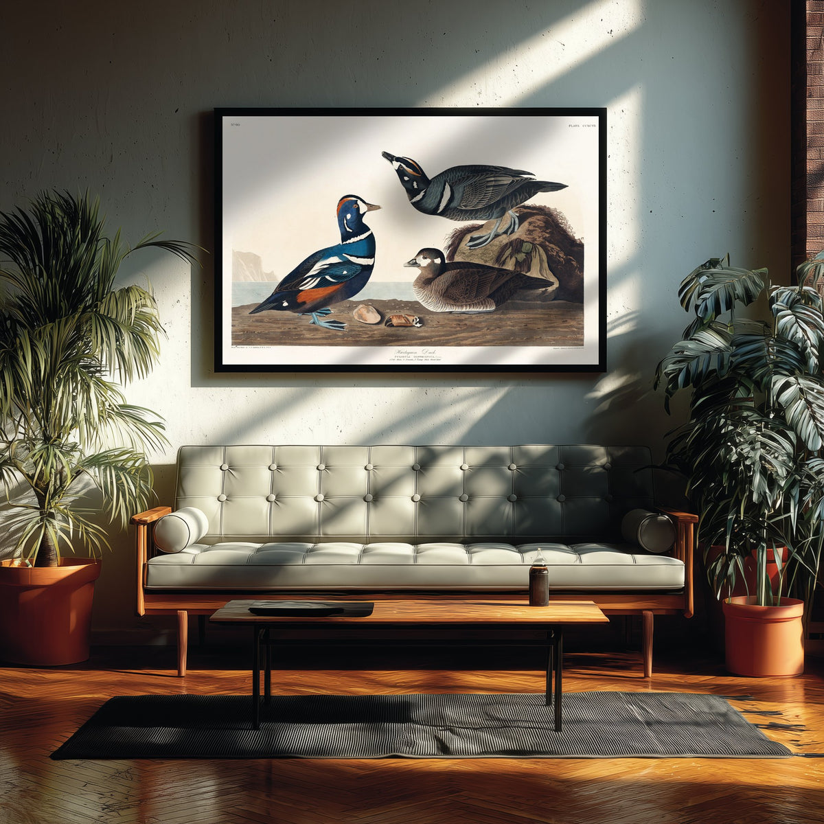 Harlequin Duck Art Print - John James Audubon Poster - Birds of America Vintage Illustration