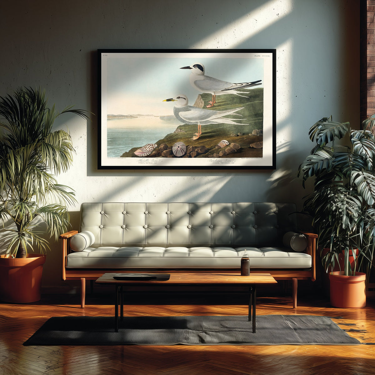 Forster's Tern Art Print - John James Audubon Poster - Birds of America Vintage Illustration