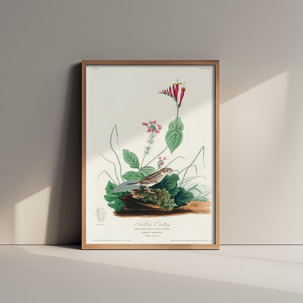 Henslow's Sparrow Art Print - John James Audubon Poster - Birds of America Vintage Illustration