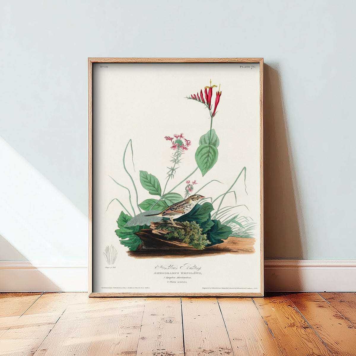 Henslow's Sparrow Art Print - John James Audubon Poster - Birds of America Vintage Illustration