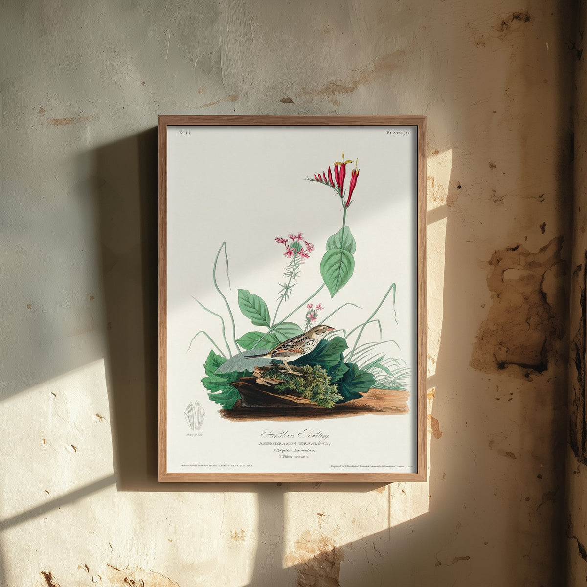 Henslow's Sparrow Art Print - John James Audubon Poster - Birds of America Vintage Illustration