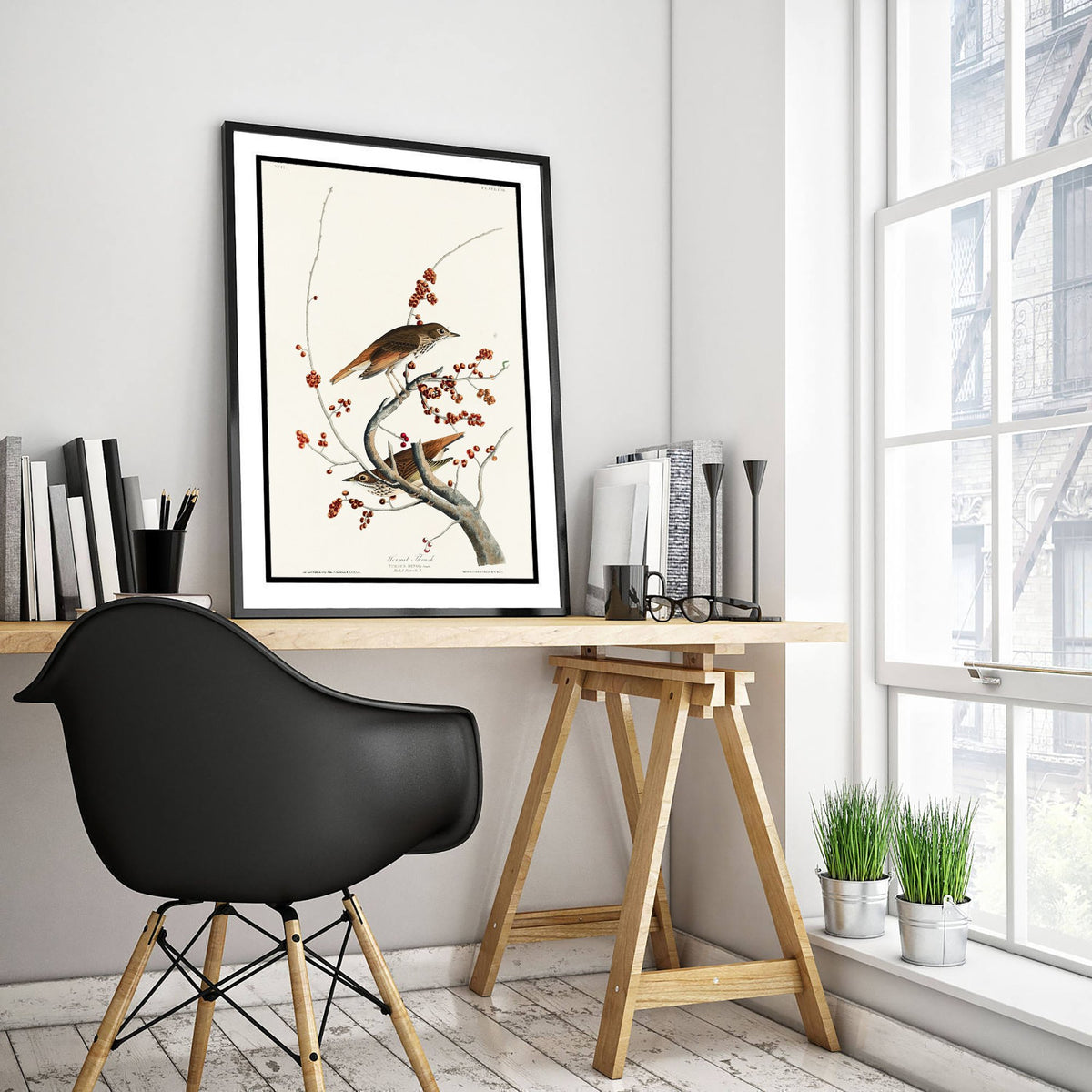 Hermit Thrush Art Print - John James Audubon Poster - Birds of America Vintage Illustration