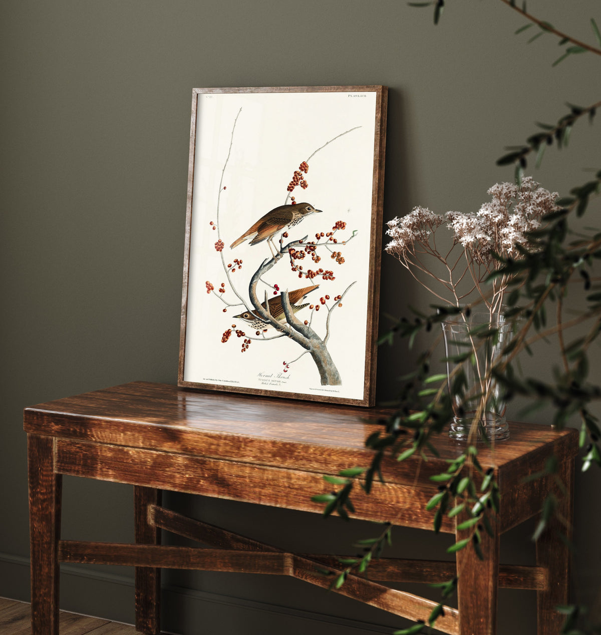 Hermit Thrush Art Print - John James Audubon Poster - Birds of America Vintage Illustration