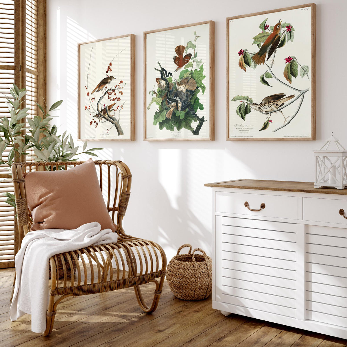 Set of Three John James Audubon Prints - Hermit Ferruginous and Wood Thrushes - 3 Thrush Paintings Poster Wall Art Illustration