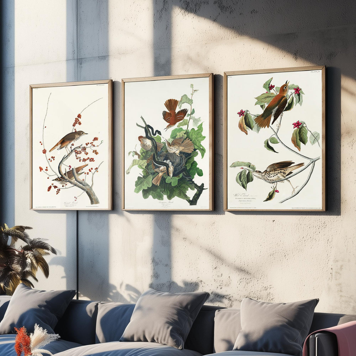 Set of Three John James Audubon Prints - Hermit Ferruginous and Wood Thrushes - 3 Thrush Paintings Poster Wall Art Illustration