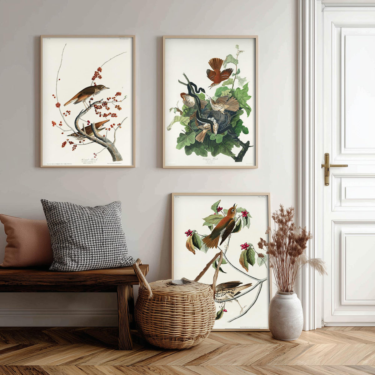 Set of Three John James Audubon Prints - Hermit Ferruginous and Wood Thrushes - 3 Thrush Paintings Poster Wall Art Illustration