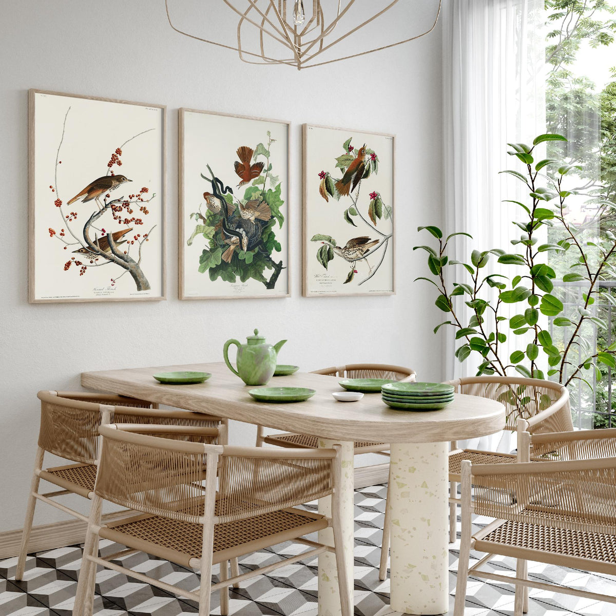 Set of Three John James Audubon Prints - Hermit Ferruginous and Wood Thrushes - 3 Thrush Paintings Poster Wall Art Illustration