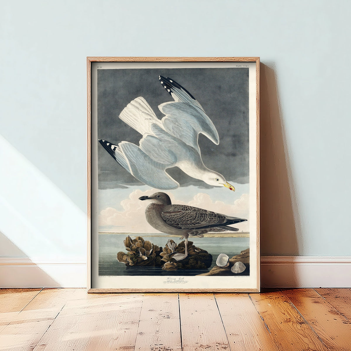 Herring Gull Art Print - John James Audubon Poster - Birds of America Vintage Illustration