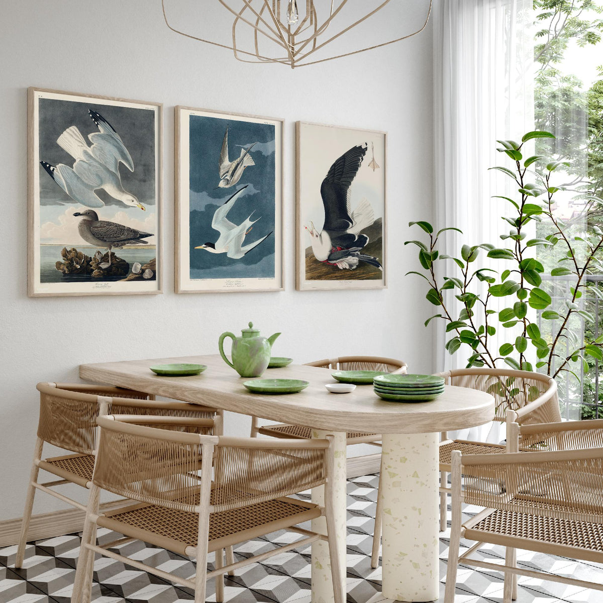 Set of Three John James Audubon Prints - Herring Gull Least Tern and Black-backed Gull - 3 Bird Paintings Poster Wall Art Illustration