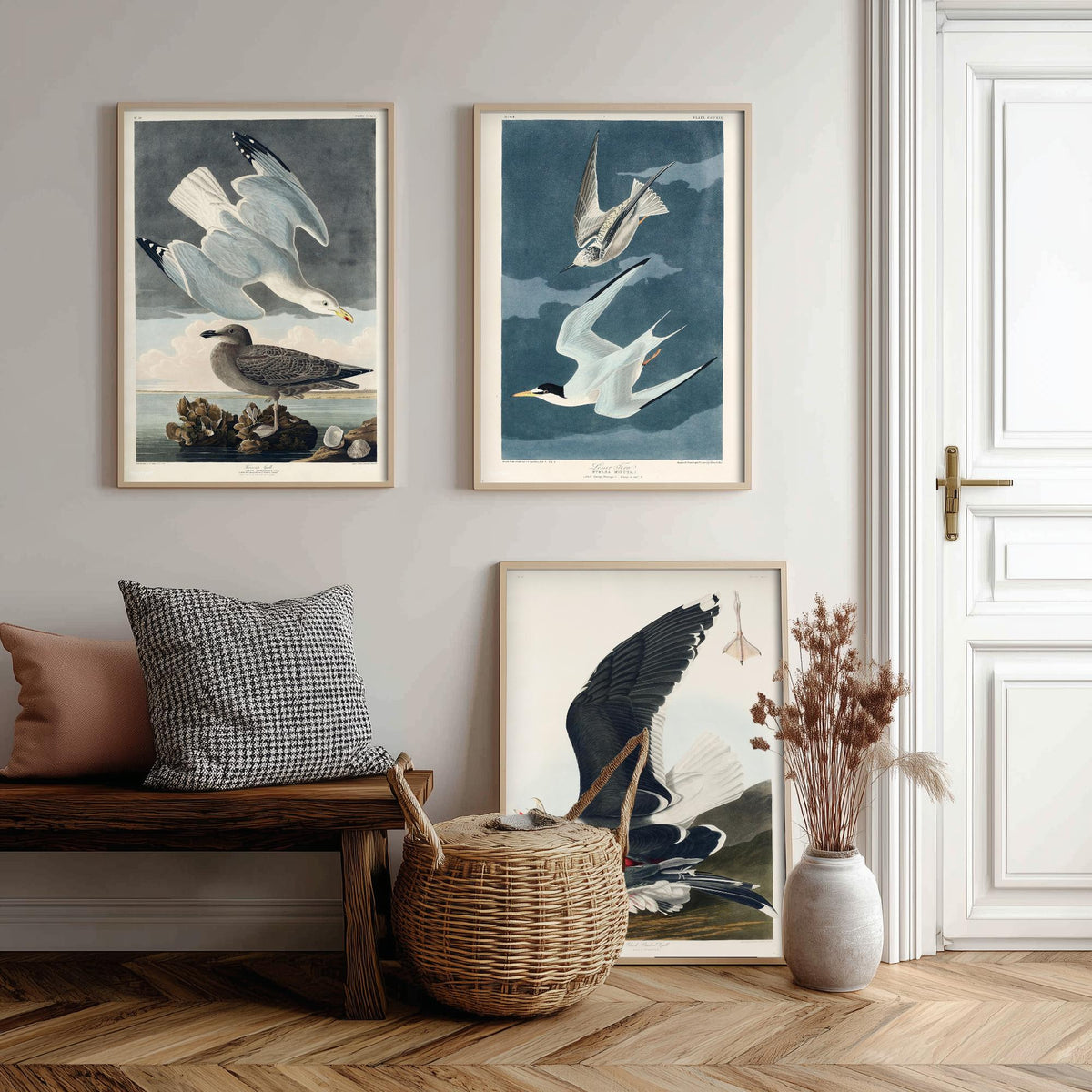Set of Three John James Audubon Prints - Herring Gull Least Tern and Black-backed Gull - 3 Bird Paintings Poster Wall Art Illustration