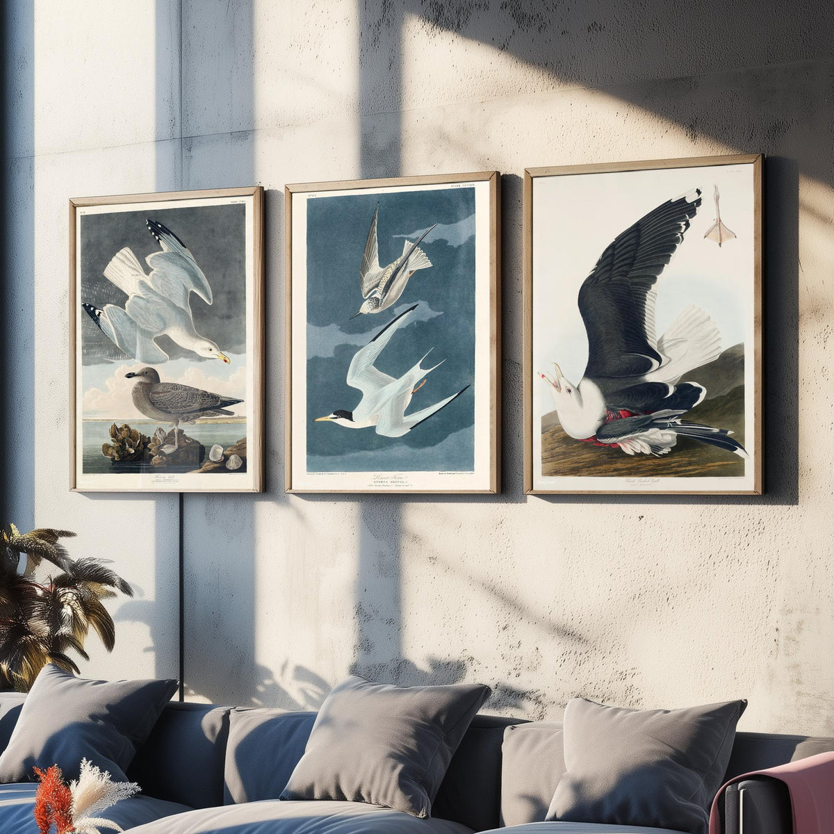 Set of Three John James Audubon Prints - Herring Gull Least Tern and Black-backed Gull - 3 Bird Paintings Poster Wall Art Illustration