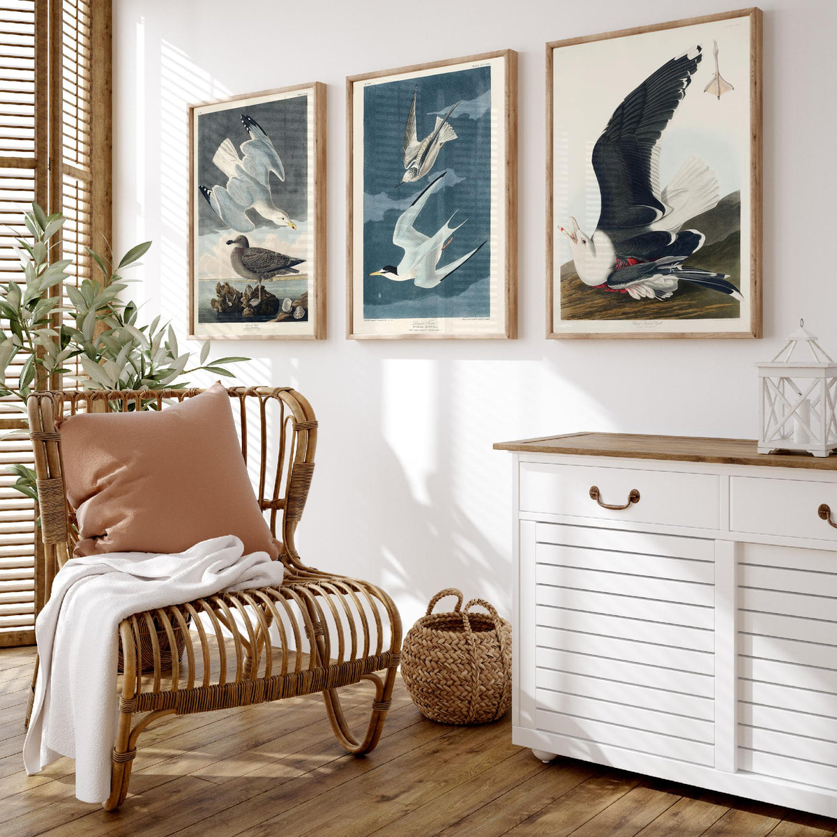Set of Three John James Audubon Prints - Herring Gull Least Tern and Black-backed Gull - 3 Bird Paintings Poster Wall Art Illustration