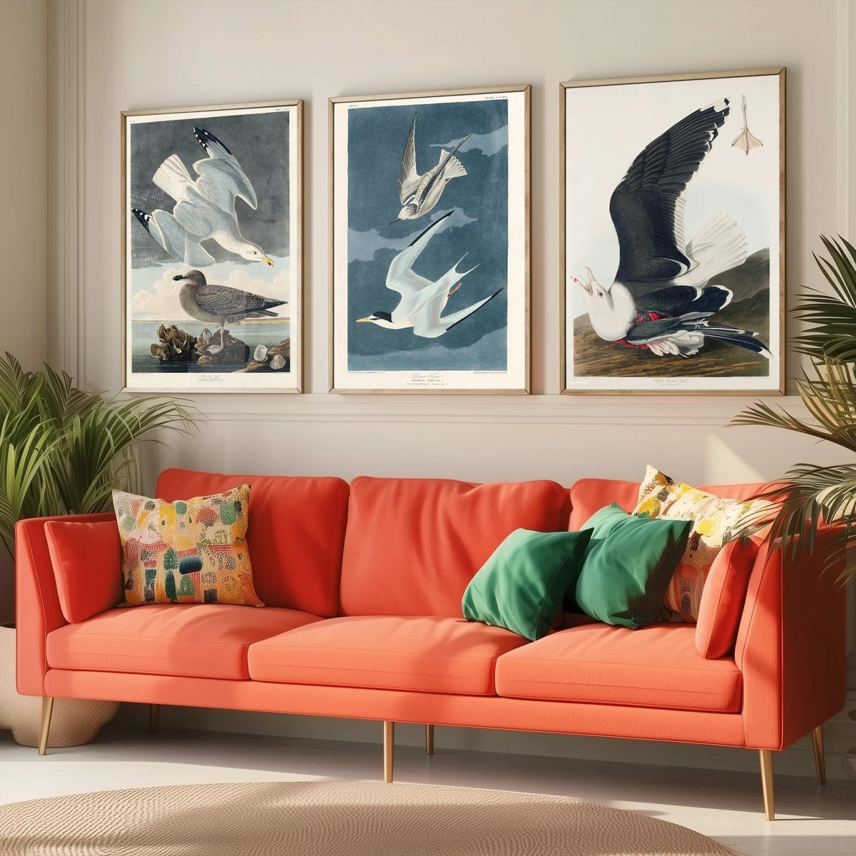 Set of Three John James Audubon Prints - Herring Gull Least Tern and Black-backed Gull - 3 Bird Paintings Poster Wall Art Illustration