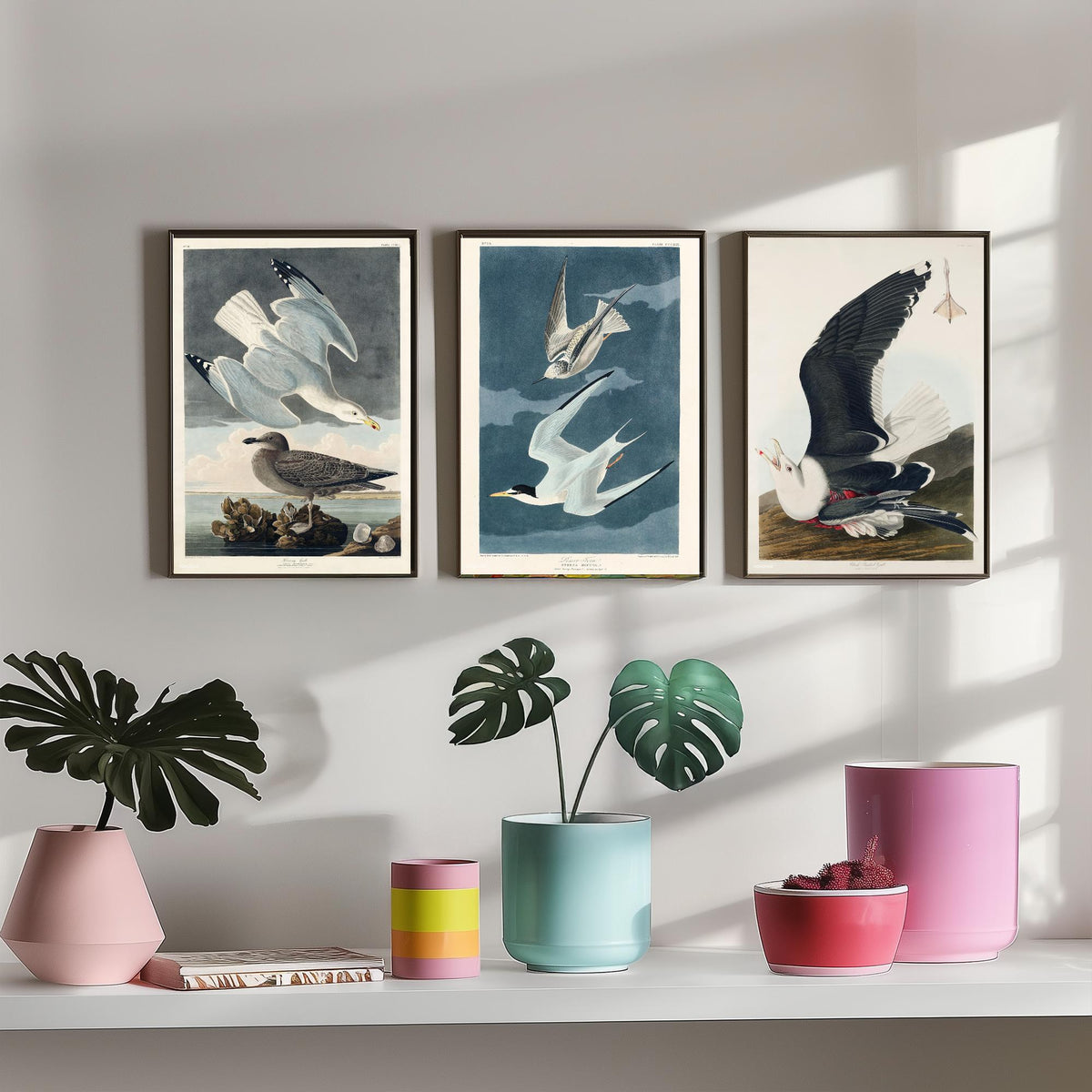 Set of Three John James Audubon Prints - Herring Gull Least Tern and Black-backed Gull - 3 Bird Paintings Poster Wall Art Illustration
