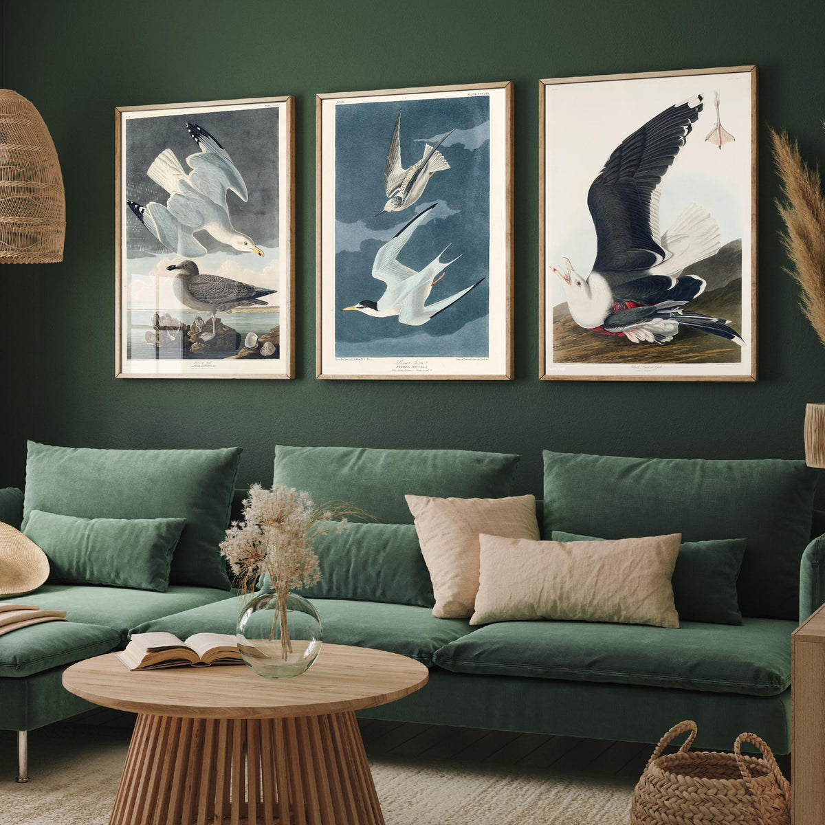 Set of Three John James Audubon Prints - Herring Gull Least Tern and Black-backed Gull - 3 Bird Paintings Poster Wall Art Illustration