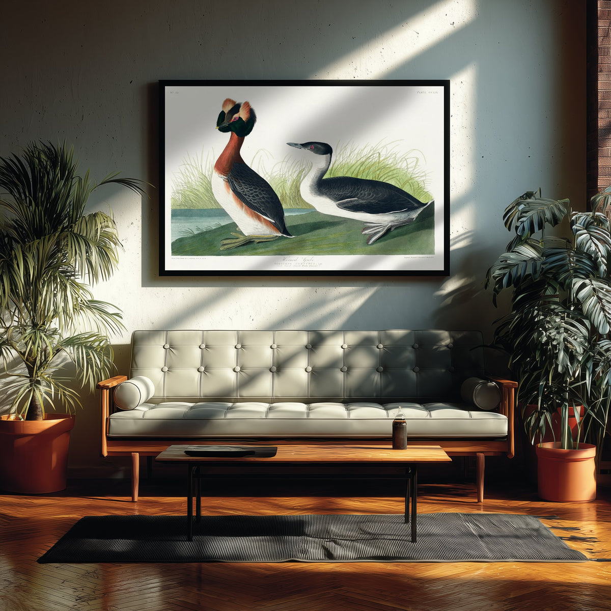 Horned Grebe Art Print - John James Audubon Poster - Birds of America Vintage Illustration