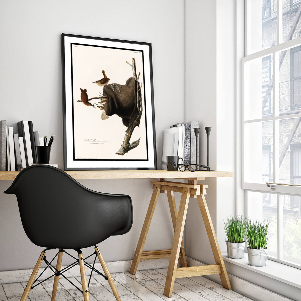 House Wren Art Print - John James Audubon Poster - Birds of America Vintage Illustration
