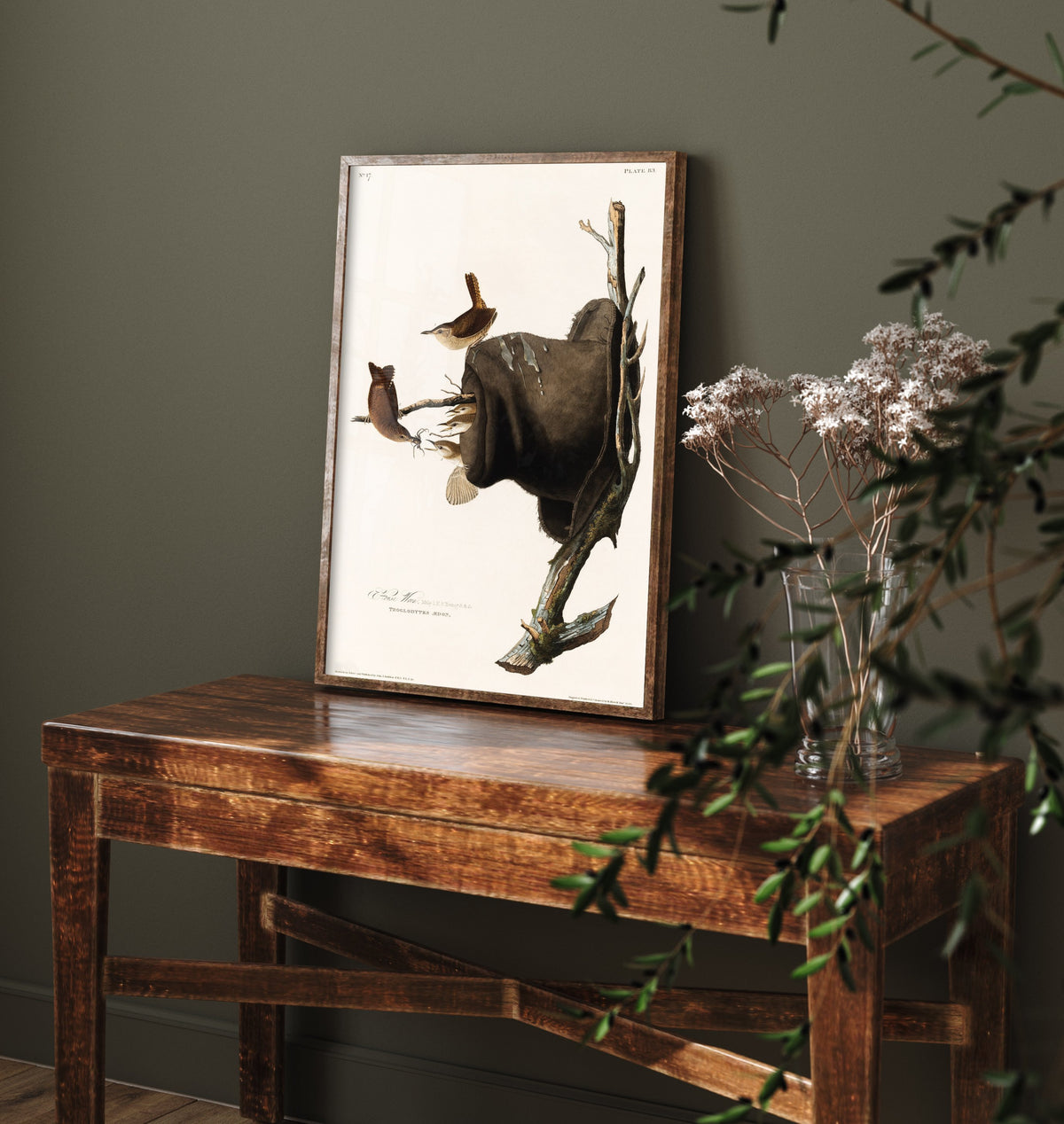 House Wren Art Print - John James Audubon Poster - Birds of America Vintage Illustration