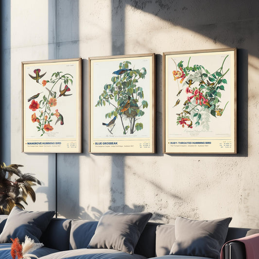 Audubon Hummingbirds Set of Three Art Prints - Mangrove Humming Bird, Blue Grosbeak, Ruby-throated - Birds of America Illustrations Posters