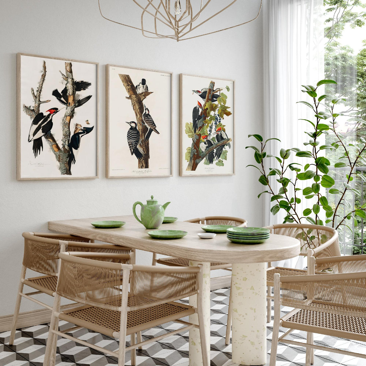 Set of Three John James Audubon Prints - Ivory-billed Red-cockaded and Pileated Woodpeckers - 3 Bird Paintings Poster Art Illustration