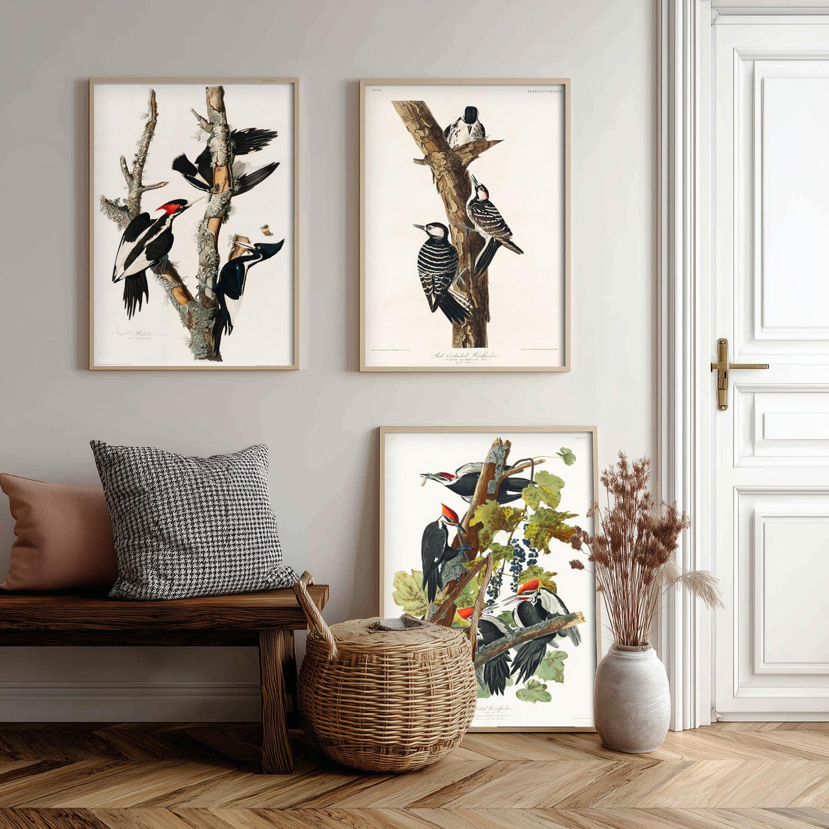 Set of Three John James Audubon Prints - Ivory-billed Red-cockaded and Pileated Woodpeckers - 3 Bird Paintings Poster Art Illustration