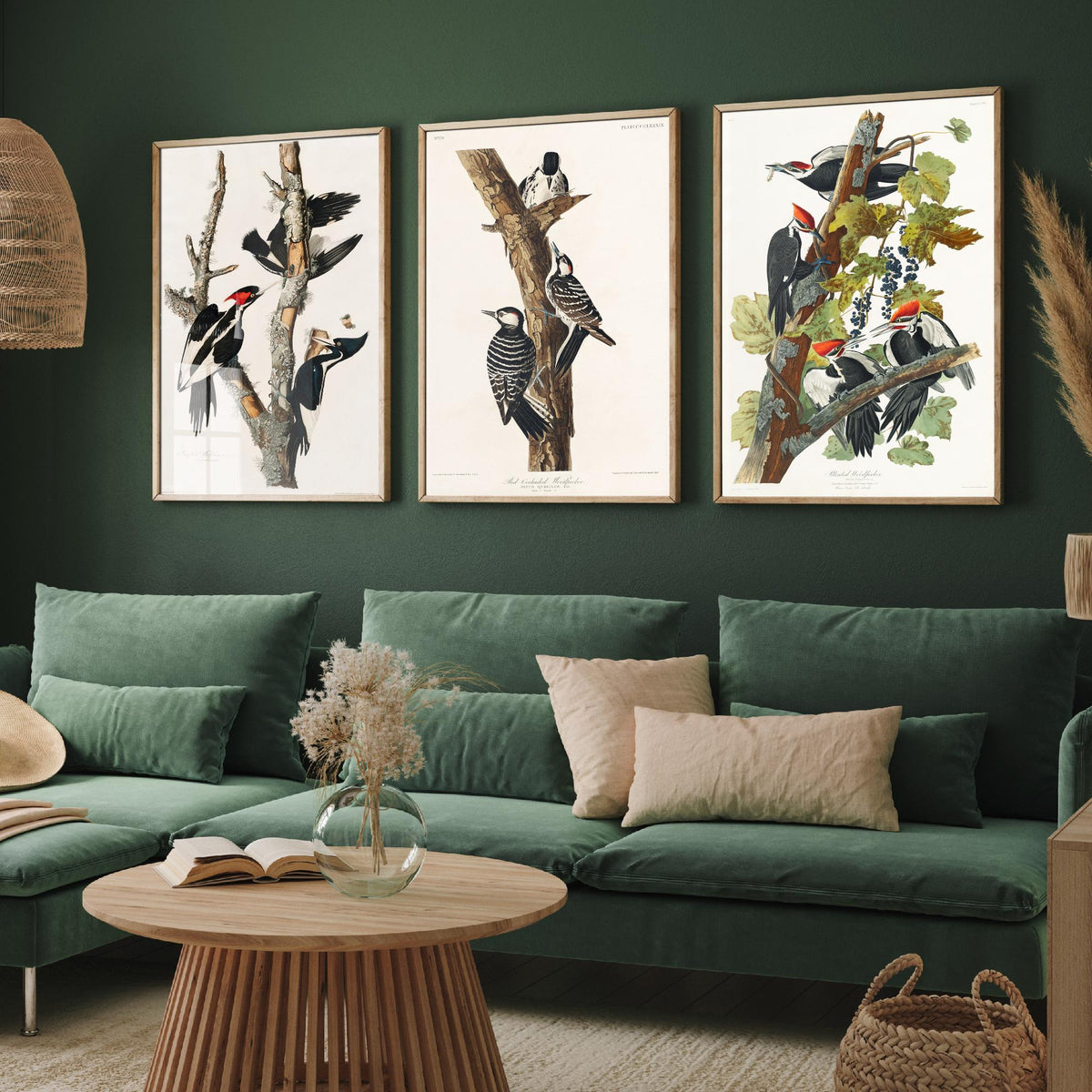 Set of Three John James Audubon Prints - Ivory-billed Red-cockaded and Pileated Woodpeckers - 3 Bird Paintings Poster Art Illustration