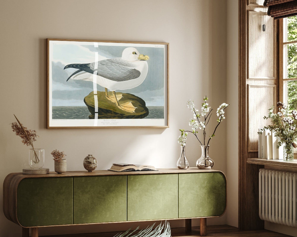 Ivory Gull Art Print - John James Audubon Birds of America Poster - Vintage Seabird Ornithology Illustration