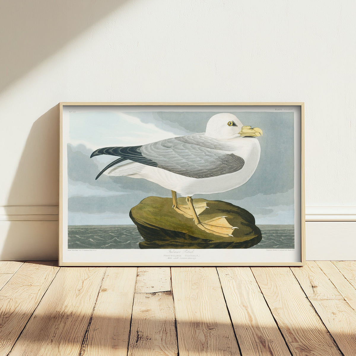 Ivory Gull Art Print - John James Audubon Birds of America Poster - Vintage Seabird Ornithology Illustration