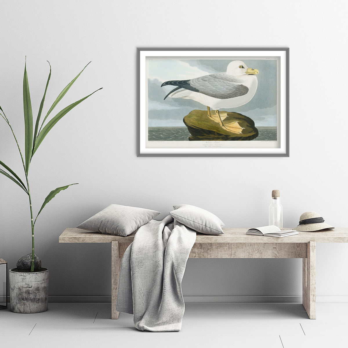 Ivory Gull Art Print - John James Audubon Birds of America Poster - Vintage Seabird Ornithology Illustration