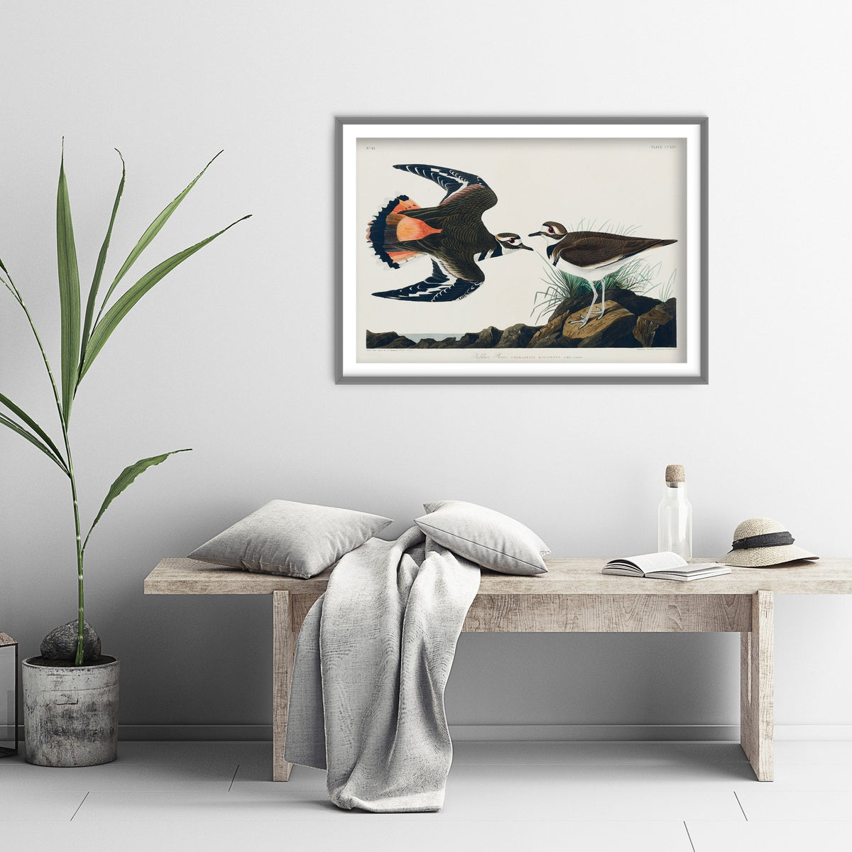 Killdeer Art Print - John James Audubon Birds of America Poster - Vintage Kildeer Plover Ornithology Illustration