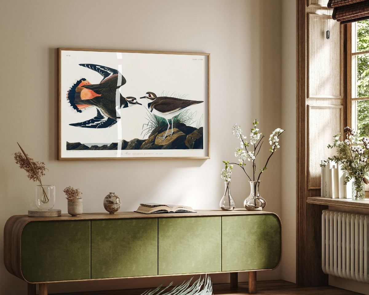 Killdeer Art Print - John James Audubon Birds of America Poster - Vintage Kildeer Plover Ornithology Illustration