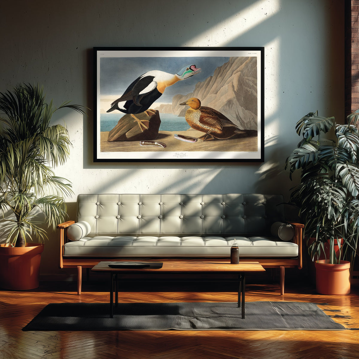 King Eider Art Print - John James Audubon Birds of America Poster - Vintage King Duck Ornithology Illustration